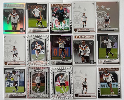 Panini intl germany dfb - panini,