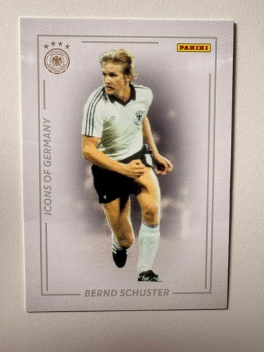 Panini icons bernd - icons, schuster